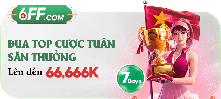 Khuyến Mãi 6FF